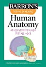 Visual Learning: Human Anatomy: An Illustrated Guide for All Ages - Barron's Educational Series - 9781506280950