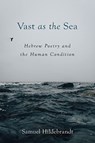 Vast as the Sea - Samuel Hildebrandt - 9781506485492