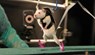 In Experiments With Rats - Antonio Morcillo Lopez - 9781507132708