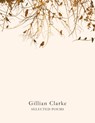 Selected Poems - Gillian Clarke - 9781509821921