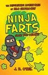Ninja Farts: The Disgusting Adventures of Milo Snotrocket - J. B. O'Neil - 9781510724358