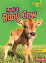 Meet a Baby Cow - SILVERMAN,  Buffy - 9781512412369