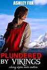 Plundered By Vikings - Ashley Fox - 9781513045177