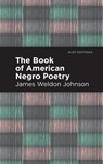 The Book of American Negro Poetry - James Weldon Johnson - 9781513282404