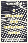 A Strange and Gracious Light: How the Story of Jesus Changes the Way We See Everything - Andrew Arndt - 9781513816203