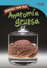 Anatomia Gruesa -  - 9781515751410