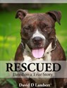 Rescued Based on a True Story - David D Lambert - 9781519946461