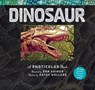 Dinosaur - Dan Kainen ; Kathy Wollard - 9781523504725