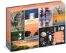 Where the Crawdads Sing 1000-Piece Puzzle -  - 9781523515158