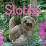 Original Sloths Wall Calendar 2024 -  - 9781523519538