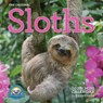 Original Sloths Mini Wall Calendar 2025 -  - 9781523525478