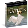 Audubon Nature Page-A-Day® Gallery Calendar 2026 -  - 9781523530915