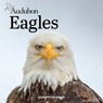 Audubon Eagles Mini Wall Calendar 2026 -  - 9781523531080