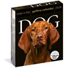 Dog Page-A-Day® Gallery Calendar 2026 -  - 9781523531394