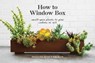 How to Window Box - Chantal Aida Gordon ; Ryan Benoit - 9781524760250
