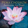 Pema Chodron 2026 Wall Calendar -  - 9781524899325
