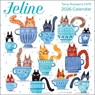 Feline 2026 Mini Wall Calendar -  - 9781524899943