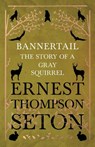 Bannertail - The Story of a Gray Squirrel - Ernest Thompson Seton - 9781528702706
