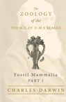 Fossil Mammalia - Part I - The Zoology of the Voyage of H.M.S Beagle - Charles Darwin ; Richard Owen - 9781528771740