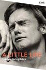 A Little Life - Hanya Yanagihara - 9781529077216