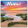 Hawaii Square Wall Sunday Start Calendar -  - 9781529830286