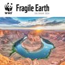 WWF Fragile Earth Square Wall Calendar 2024 -  - 9781529833348