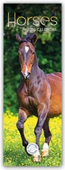 Horses Slim Calendar 2026 -  - 9781529847697