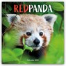 Red Pandas (PFP) W -  - 9781529858143