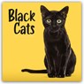 Black Cats (PFP) W -  - 9781529858525