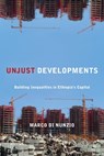Unjust Developments - Marco Di Nunzio - 9781531513559