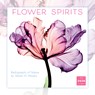 2026 Flower Spirits -- Radiographs of Nature by Steven N. Meyers Wall Calendar -  - 9781531943257