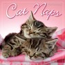 2026 Cat Naps Mini Calendar -  - 9781531943707