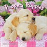 2026 Pooped Puppies Mini Calendar -  - 9781531943813