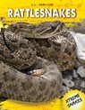 Rattlesnakes - S. L. Hamilton - 9781532116049