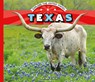 Texas - Sarah Tieck - 9781532191473