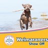 Weimaraners Show Off - Sabrina Lakes - 9781532455315