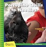Porcupine Quills to Needles - Jennifer Colby - 9781534139527