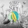 It Fell from the Sky - The Fan Brothers - 9781534457621