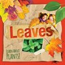 Leaves - Steffi Cavell-Clarke - 9781534522466