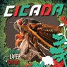 Cicada - E. C. Andrews - 9781534546981