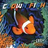 Clown Fish - E. C. Andrews - 9781534547018