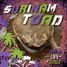 Surinam Toad - E. C. Andrews - 9781534547070