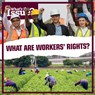 What Are Workers' Rights? - Jennifer Lombardo - 9781534547865