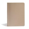 Myers, R: CSB She Reads Truth Bible, Champagne Gold Leathert - Raechel Myers ; Amanda Bible Williams ; Csb Bibles By Holman - 9781535970983