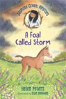 Jasmine Green Rescues: A Foal Called Storm - Helen Peters - 9781536222715
