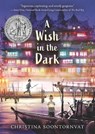 A Wish in the Dark - Christina Soontornvat - 9781536222975