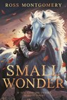 Small Wonder - Ross Montgomery - 9781536252460