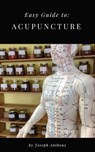 Easy Guide to: Acupuncture - Joseph Anthony - 9781540103161