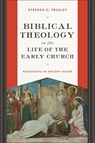 Biblical Theology in the Life of the Early Church: Recovering an Ancient Vision - Stephen O. Presley - 9781540966414