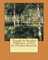 Through the Brazilian Wilderness (1914) by: Theodore Roosevelt - Theodore Roosevelt - 9781543046915